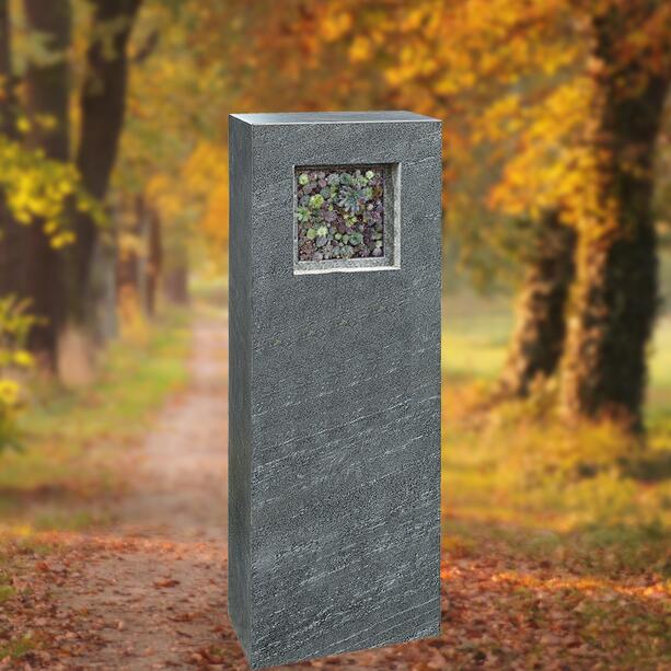 Urnengrab Grabdenkmal in Granit mit Sukkulationswand Bepflanzung - Genevive Flora