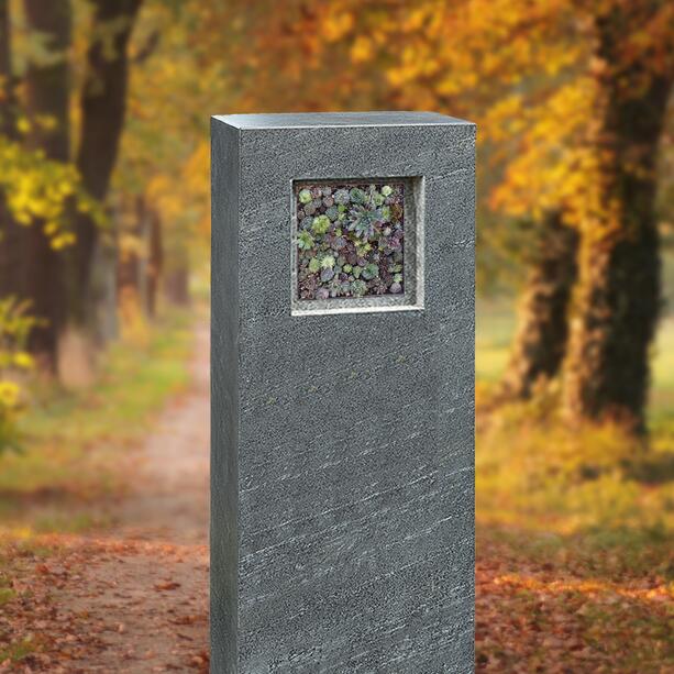 Einzelgrab Grabdenkmal in Granit mit Sukkulationswand Bepflanzung - Genevive Flora