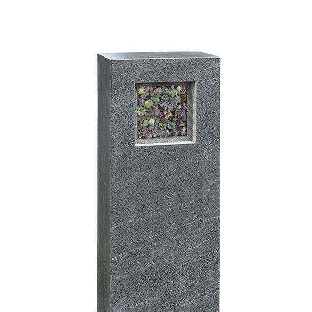 Einzelgrab Grabdenkmal in Granit mit Sukkulationswand Bepflanzung - Genevive Flora