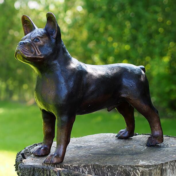 Stehende Bulldogge aus Bronzeguss in Lebensgre - Bulldogge Feo